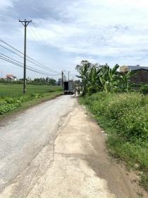 Bán lô đất tại thôn Bái Ngoài - xã Hoa Động - Thuỷ Nguyên - Hải Phòng