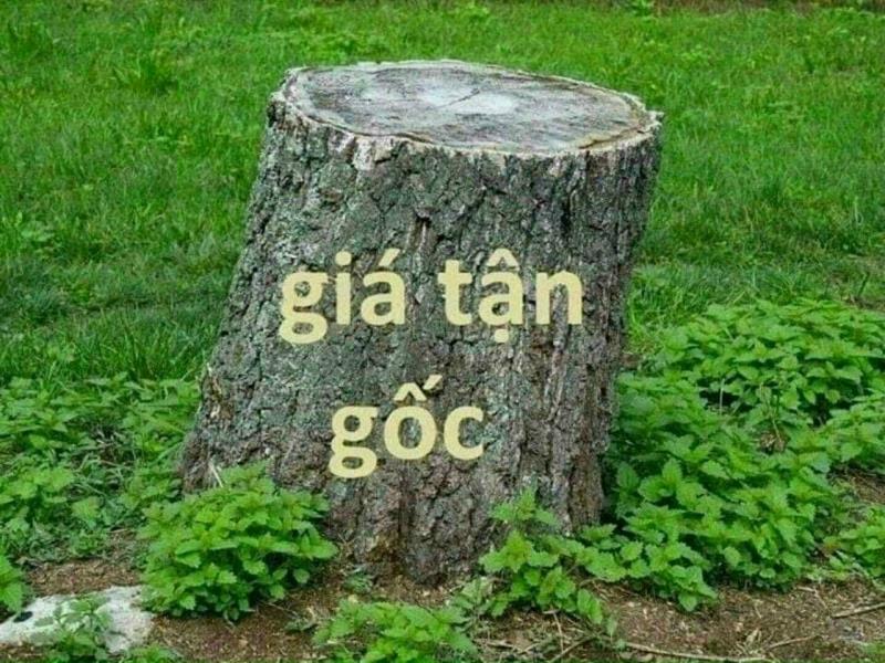 Siêu thị nhà đất bán